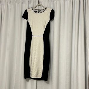 Fitted Cocktail Dress